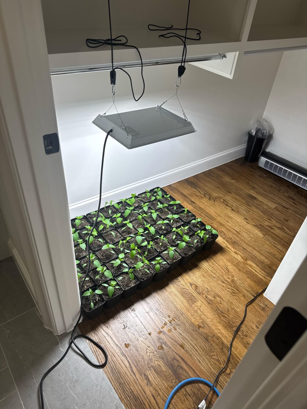 Beginning to Understand How A Newbie Can Get Overwhelmed.