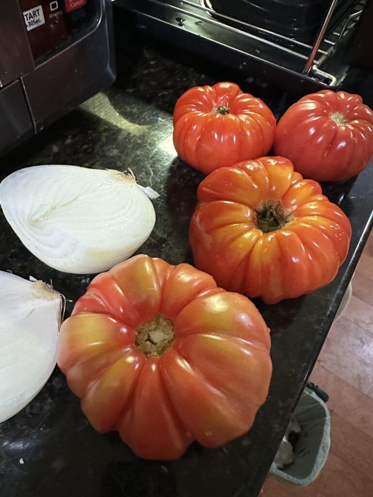 Everyday roasted salsa