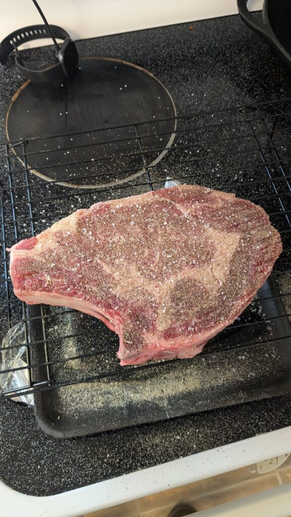 First time grilling a bone in ribeye. Yay or nay?