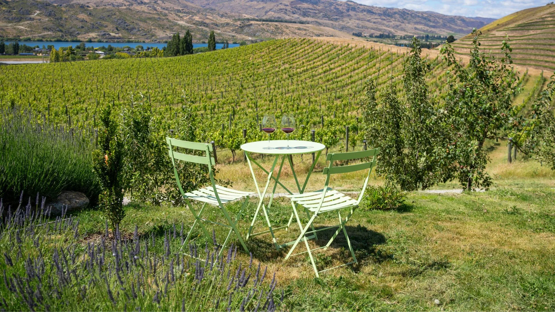 Table setting at Domaine Thimson