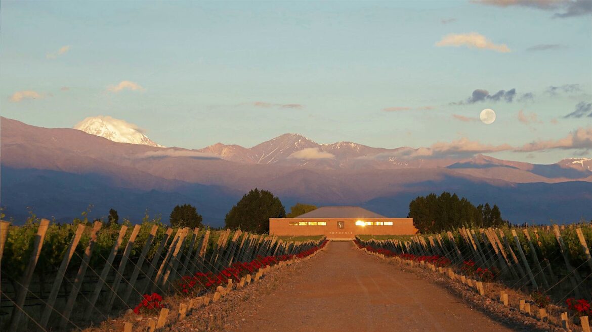 We Just Reviewed 9 Argentina Malbec Wines Priced as Low as $15