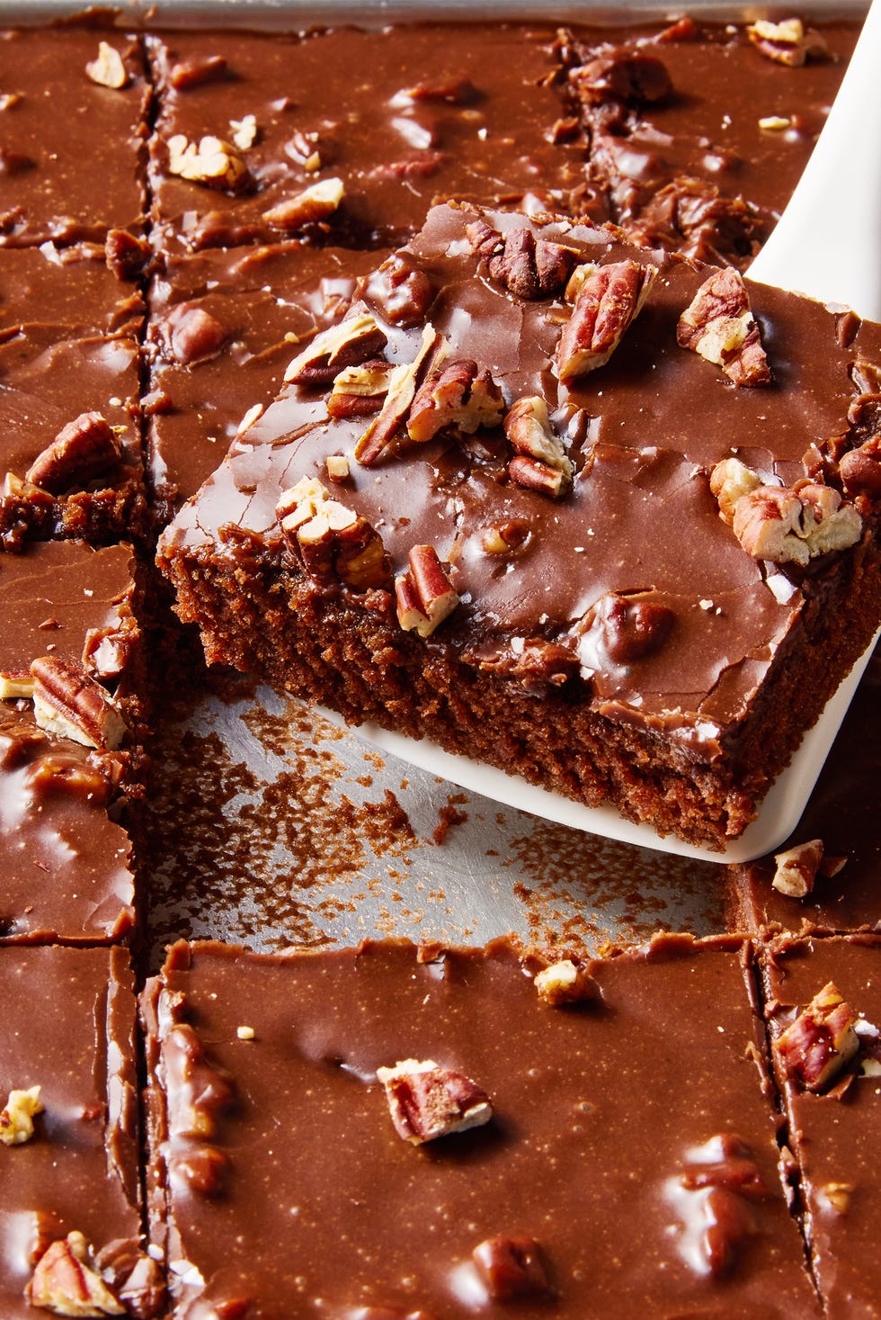 chocolate texas sheet cake with pecans