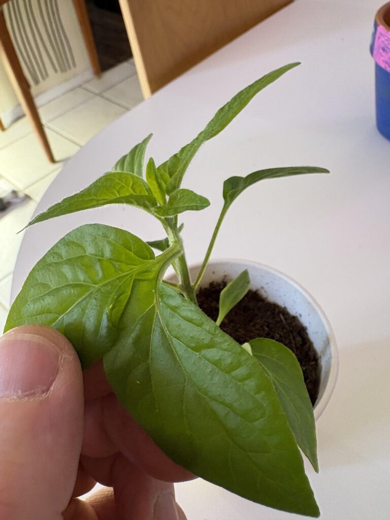 What’s happening here?