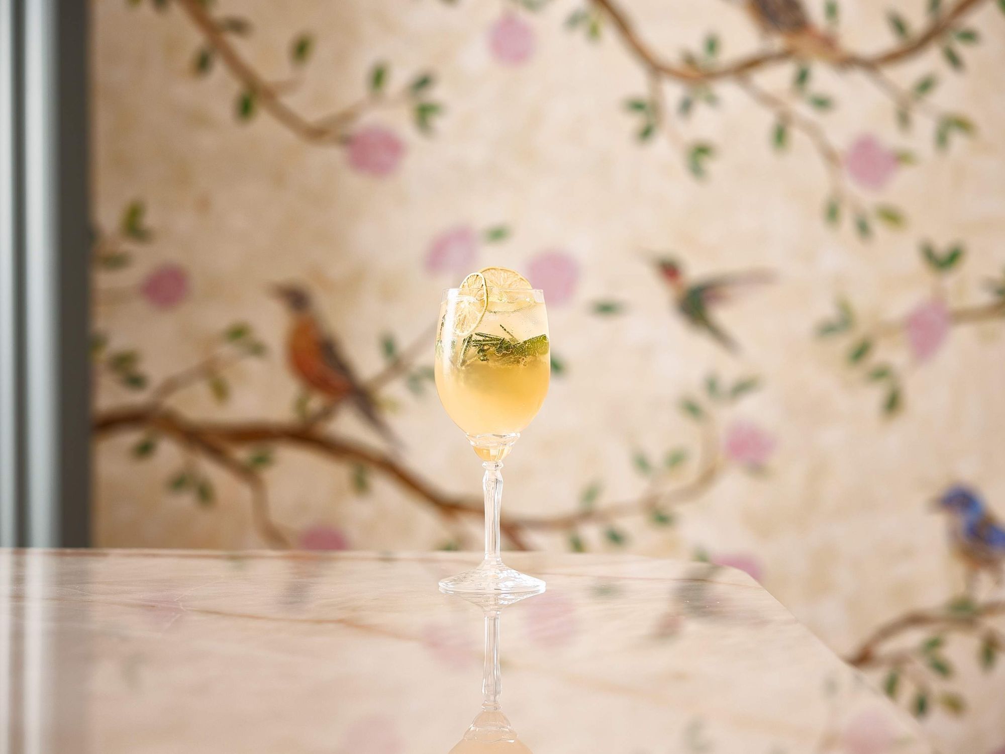 The Bird Nest Serenade Austin