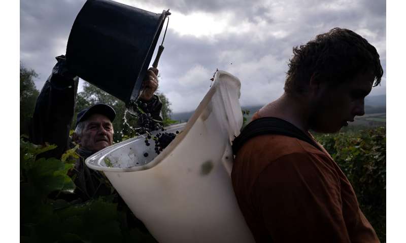 The Jura region has been especially badly affected