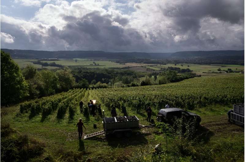 There are dark clouds over the French wine industry