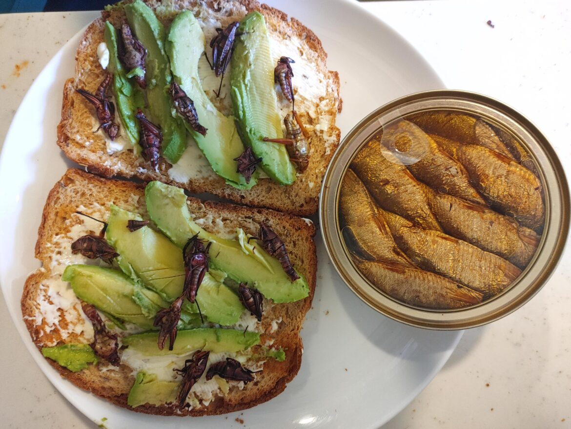 Chapulines and sardines