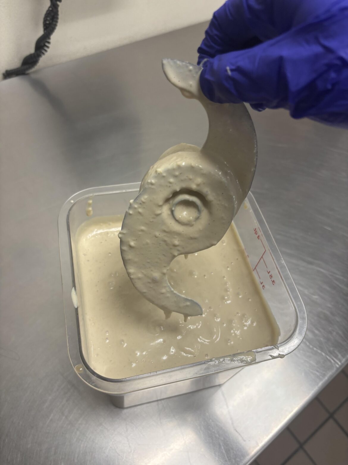 Someone dropped the robocoup blade in the Cesar dressing and left it there