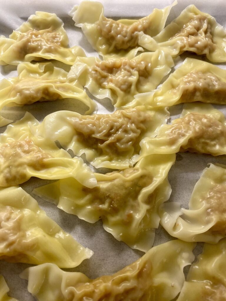 Shrimp & Cabbage Wontons - 480kc 49g protein