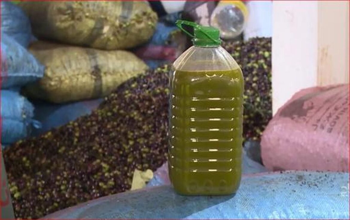 Moroccan Parliamentarian Questions Government Over Rising Olive Oil Prices