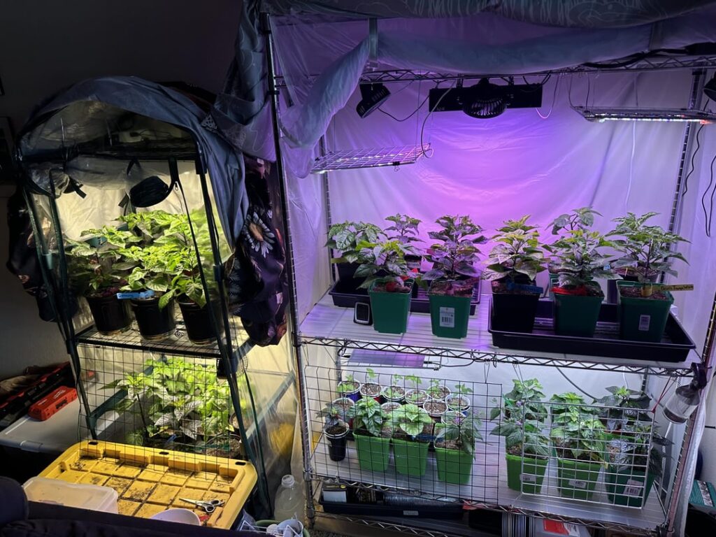 Grow update Grow update