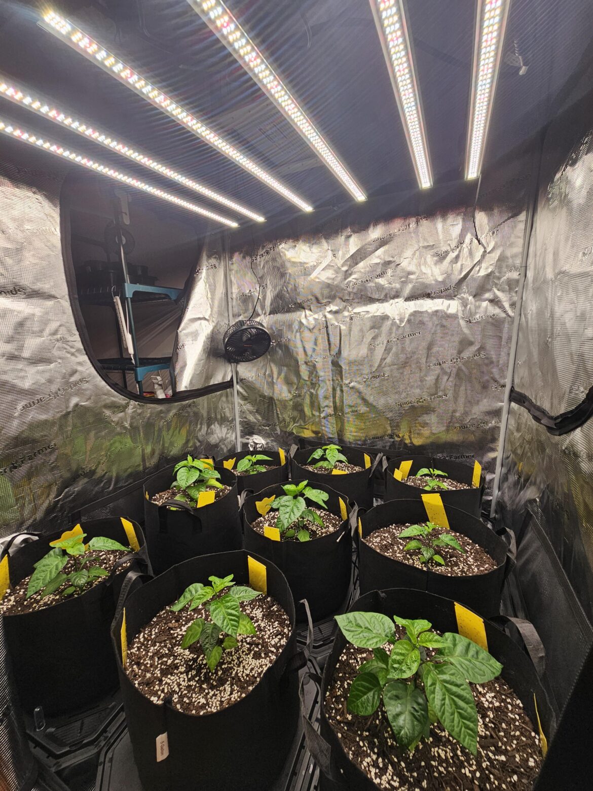 I could sit here all day. Show me what you're growing... 🌱