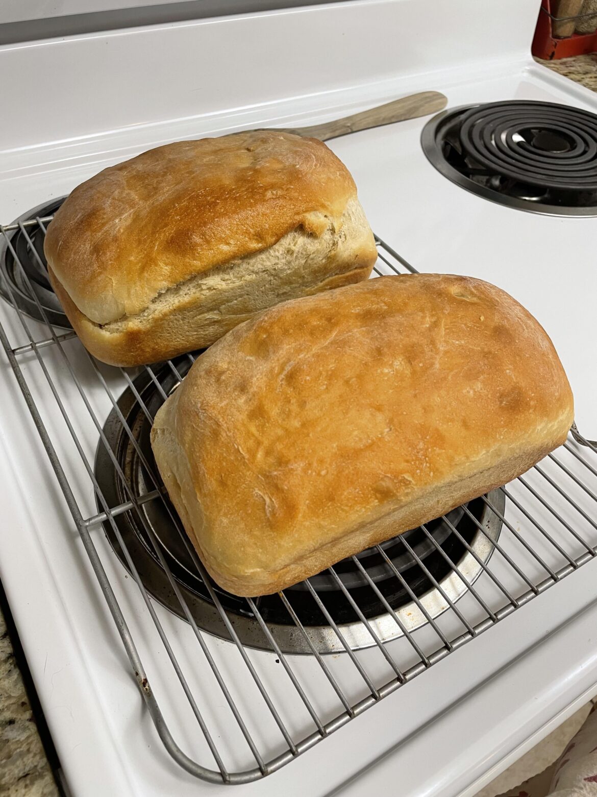 Made bread for the first time, and I am quite proud of myself.