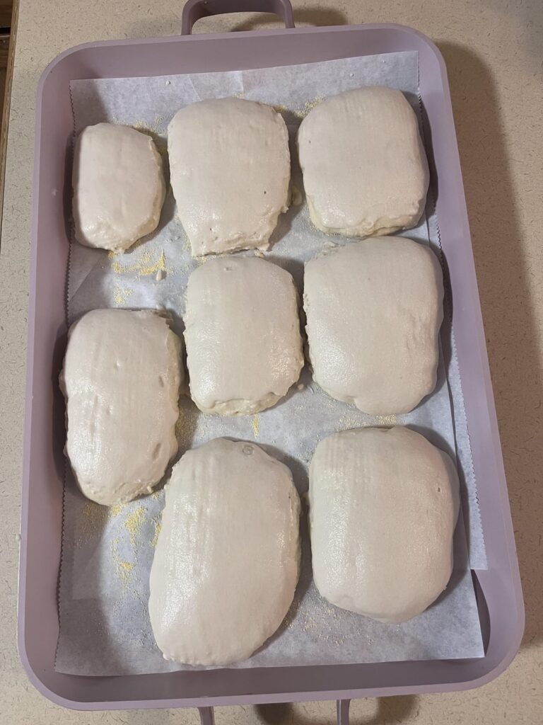 I made Tijgerbrood! Or Tiger Bread or Dutch Crunch, whatever you’d like to call it.