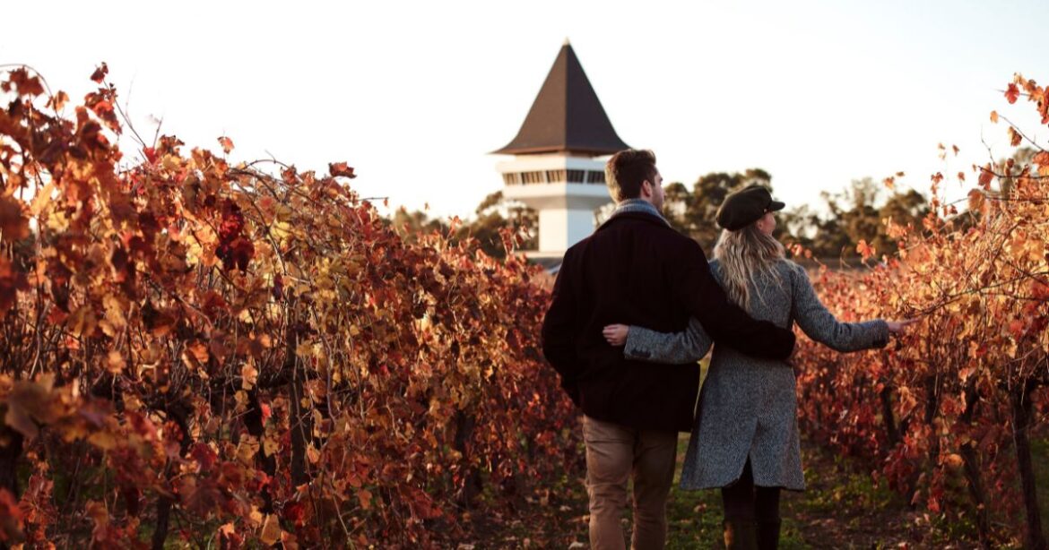 Three unique places to stay in top Australian wine regions Three unique places to stay in top Australian wine regions