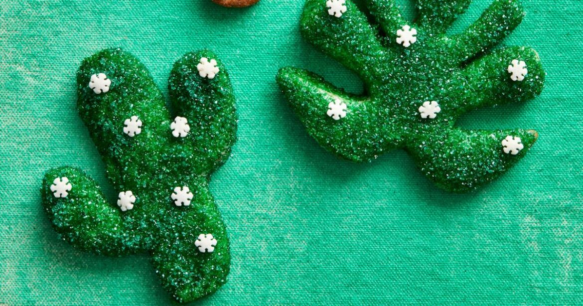 The best Christmas cookie recipes for your holiday baking The best Christmas cookie recipes for your holiday baking