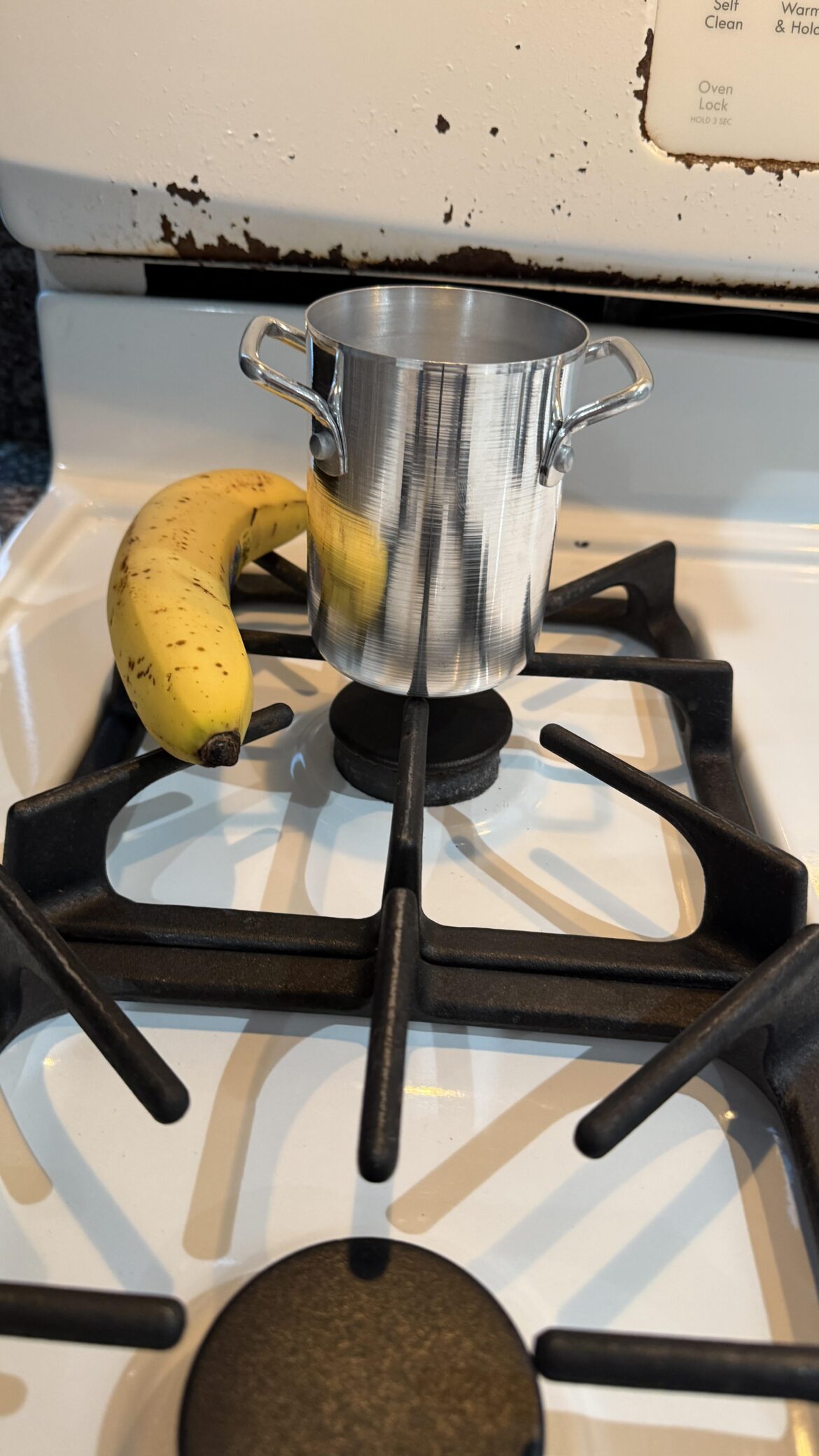 So I Bought a Stock Pot Today