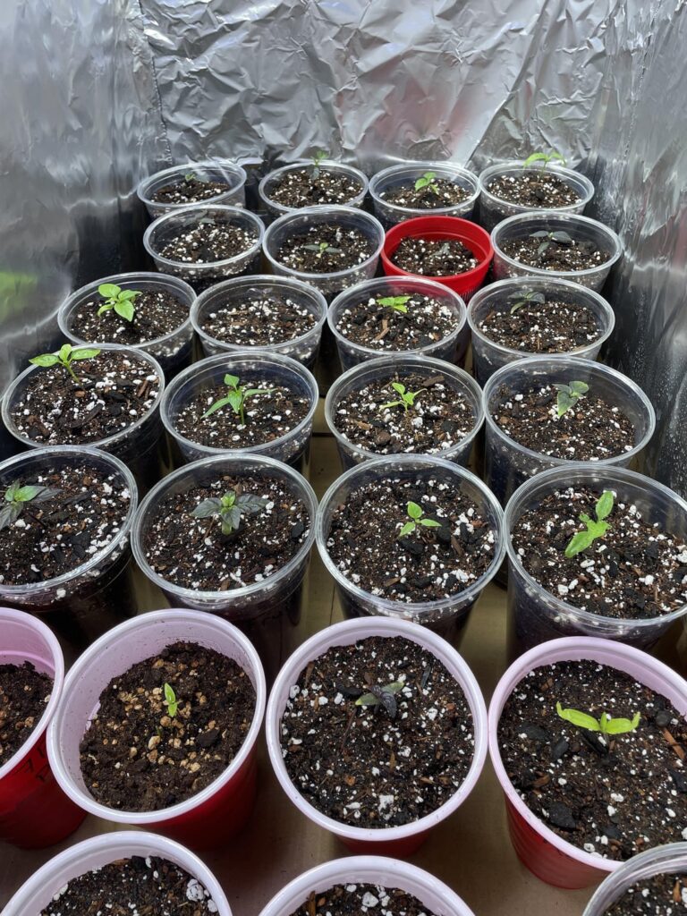 Never enough room Never enough room