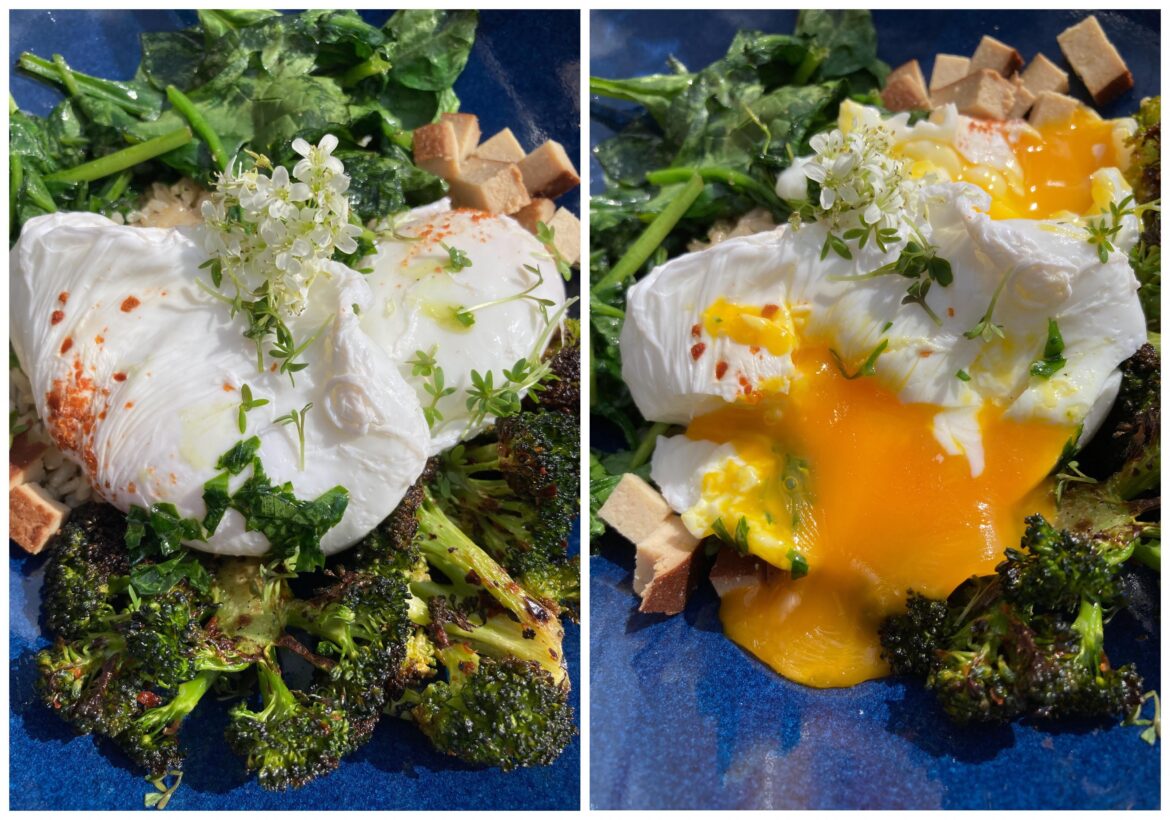 My Poached Egg My Poached Egg