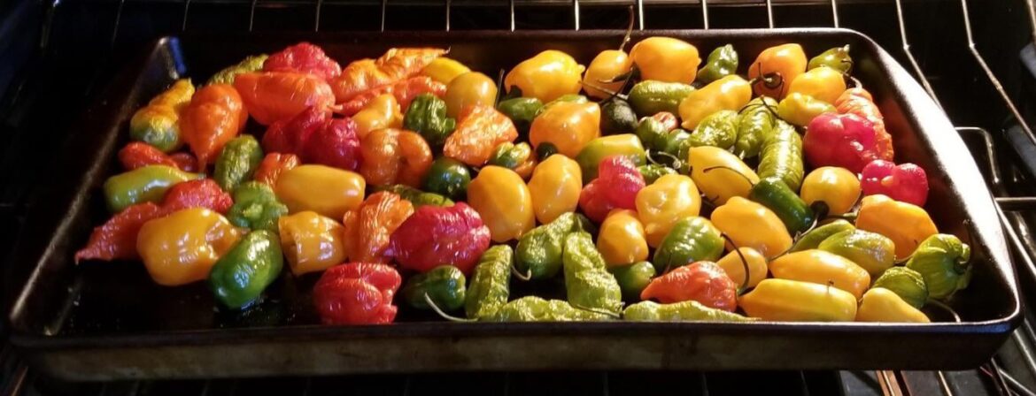 The 4 horsemen of the apocalypse