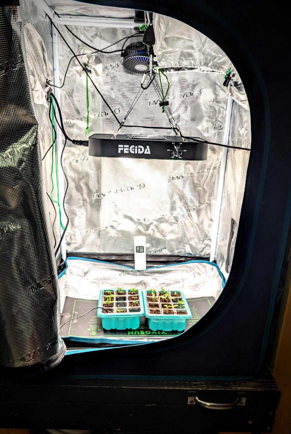 You guys have created a monster