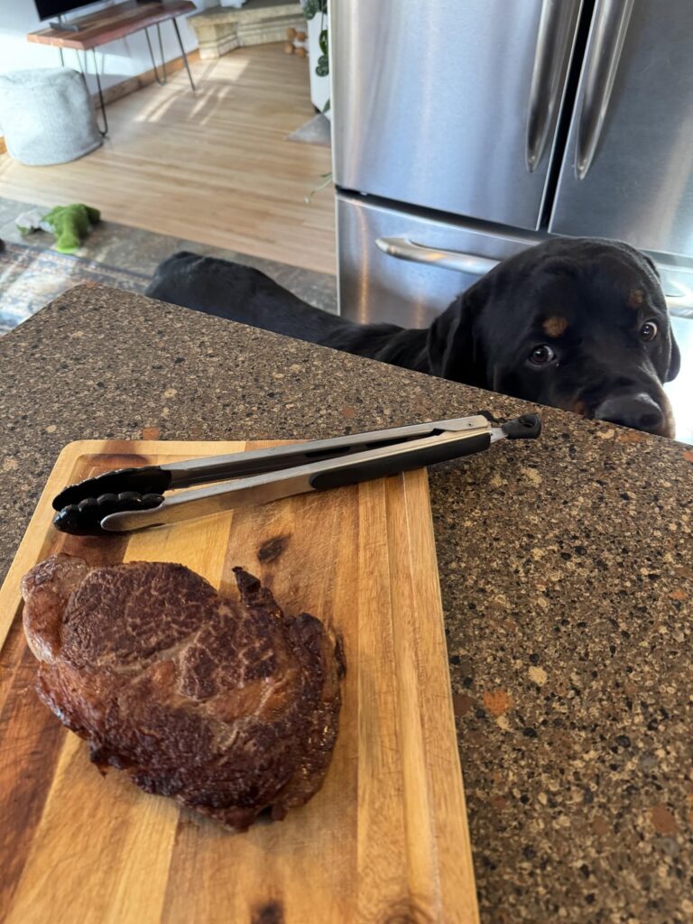 Obligatory new stove ribeye