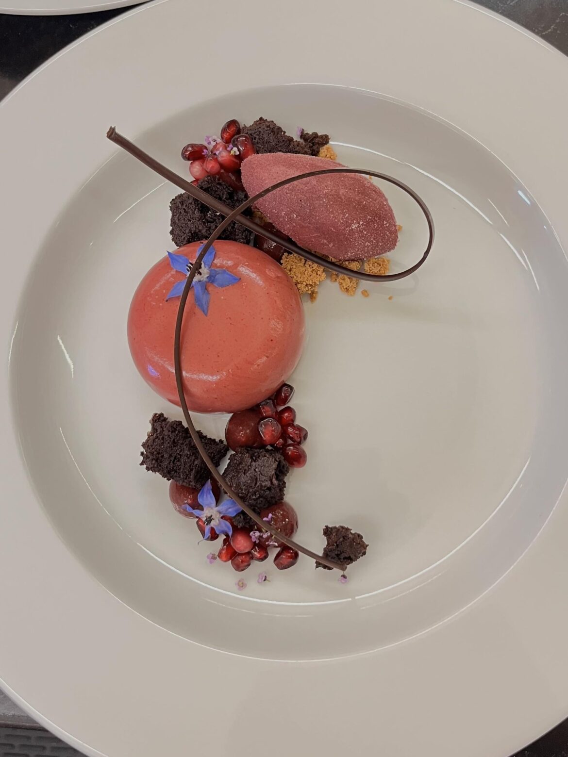 pomegranate mousse, dark chocolate cake, port wine sorbet