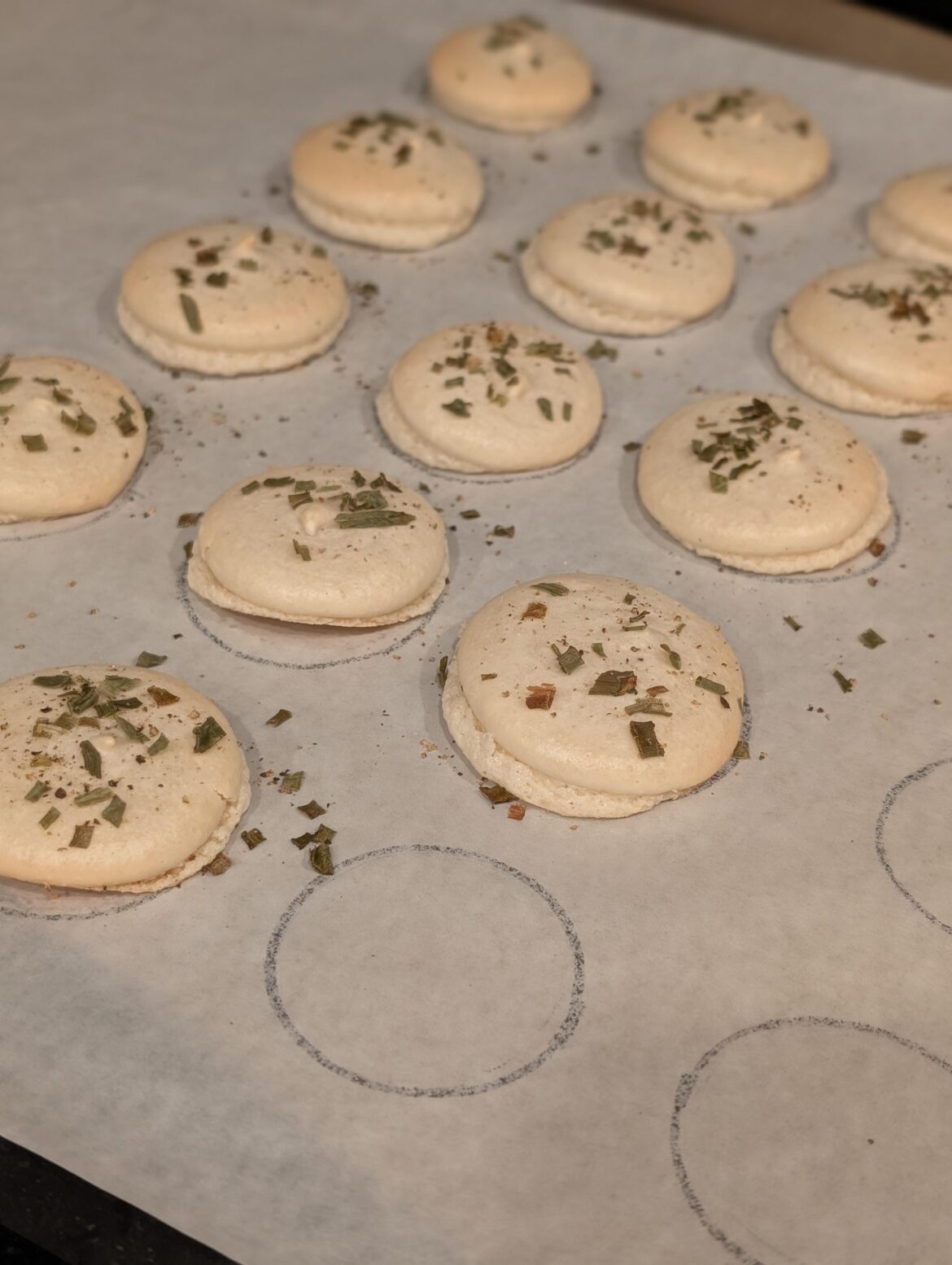 Did I pipe them wrong?