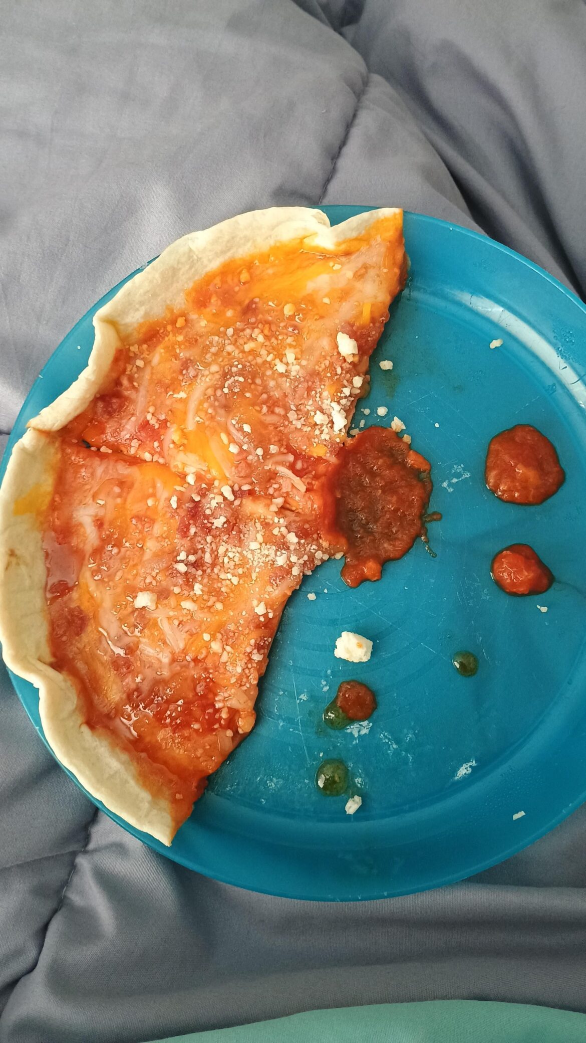Homemade pizza, made in microwave (read desc)