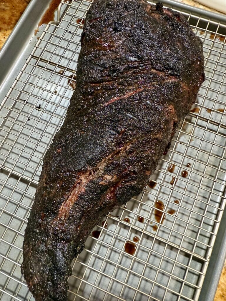 Tri Tip on Woodridge Elite (bonus cat/beer can chicken)