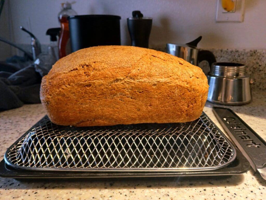 I'm new to making bread, and this is my best loaf so far. 100% whole wheat.