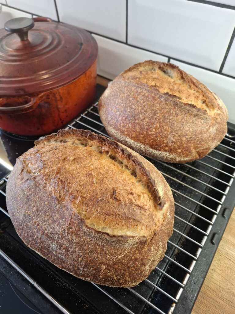 I feel like I've mastered the SDL