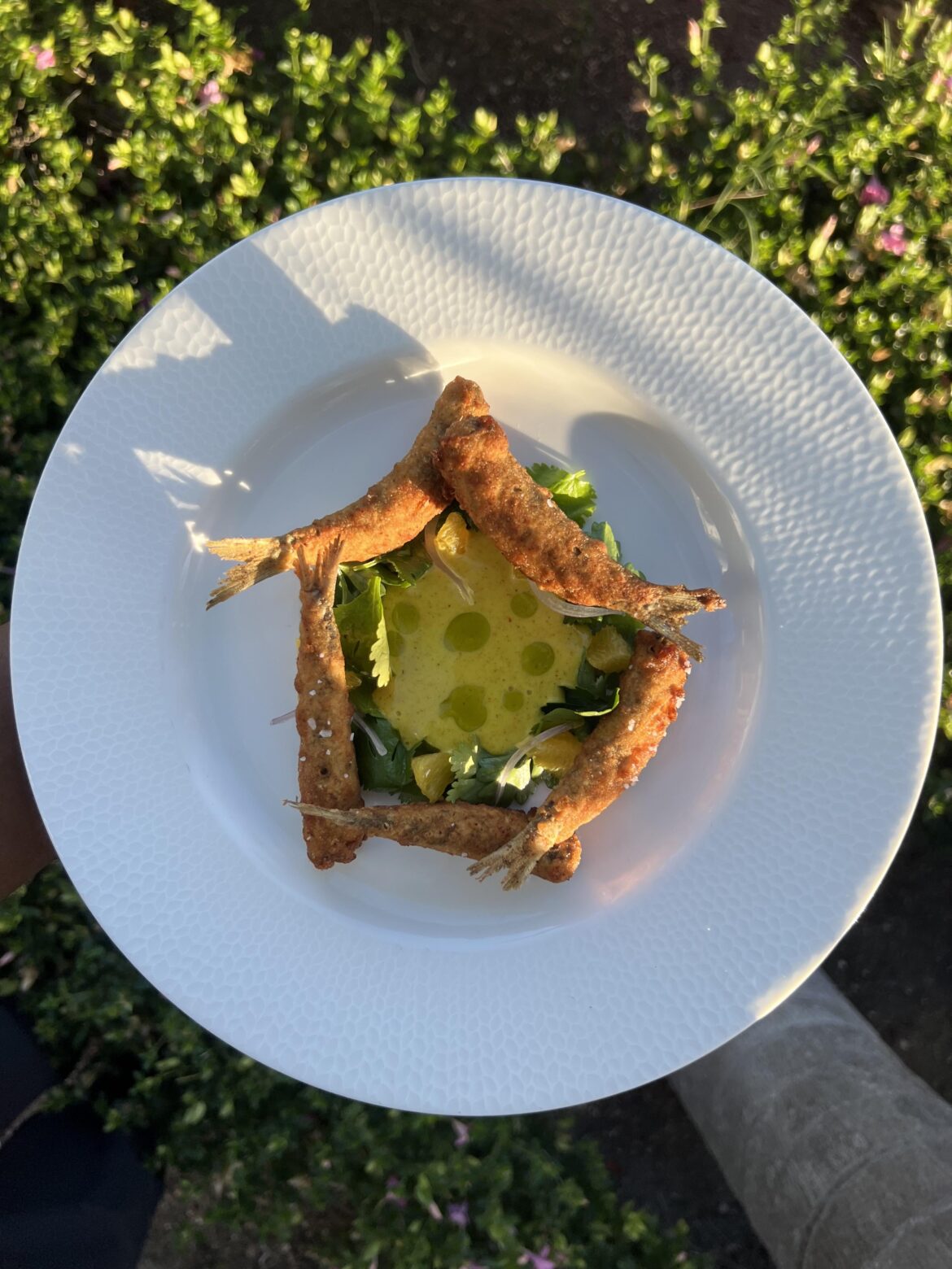 Fried Herring with Herbs and Citrus, Vadouvan Aioli