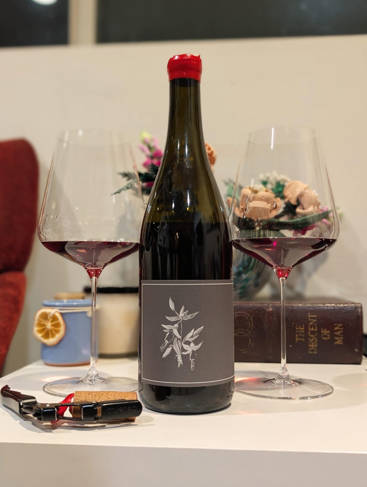 Arnot-Roberts Trousseau, North Coast (CA) 2023