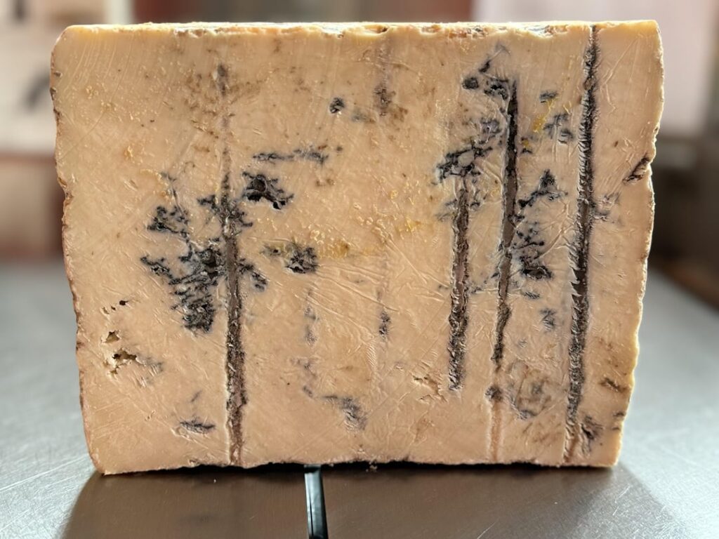 Gorgonzola Piccante DOP that I just cut and wrapped up.