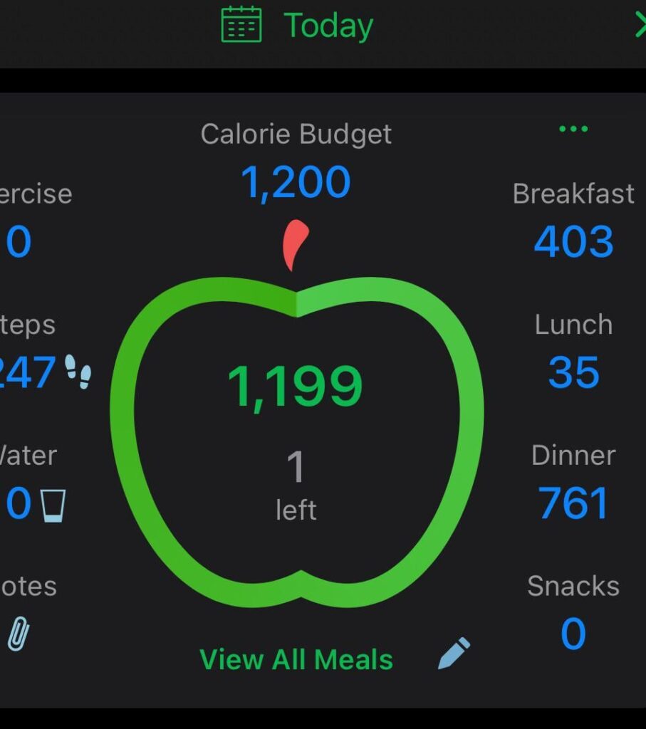 1 whole calorie left!