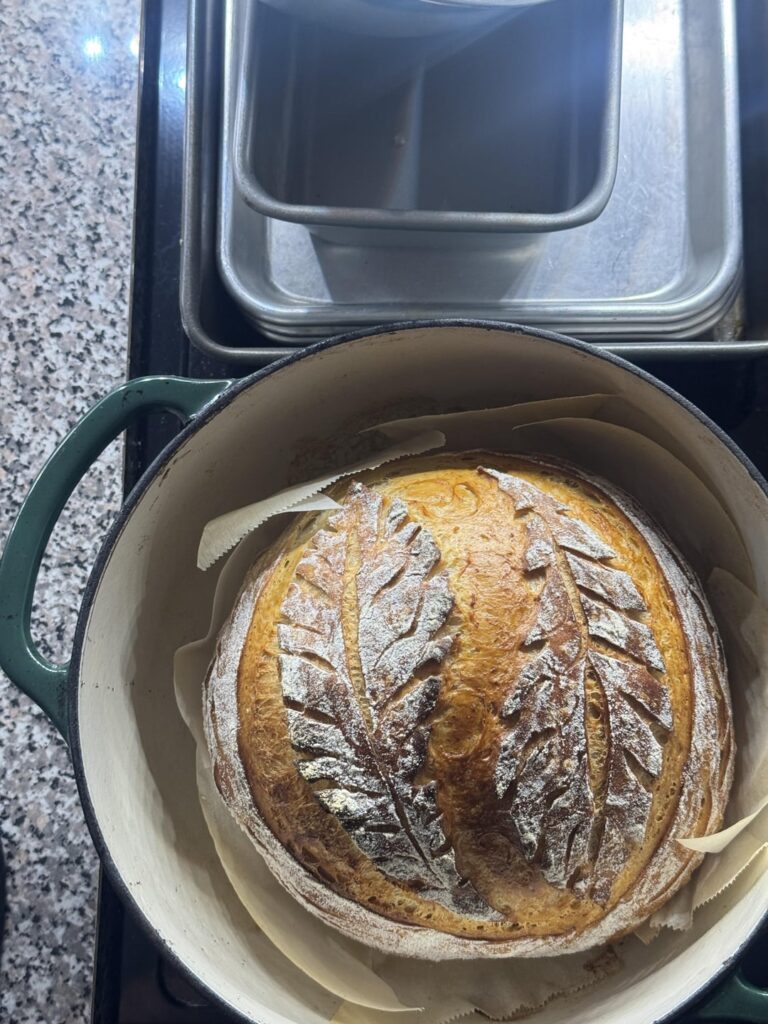 The only buns I’m getting these days