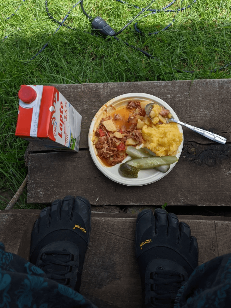 free lunch (milk carton was not included, i had to bring my own)