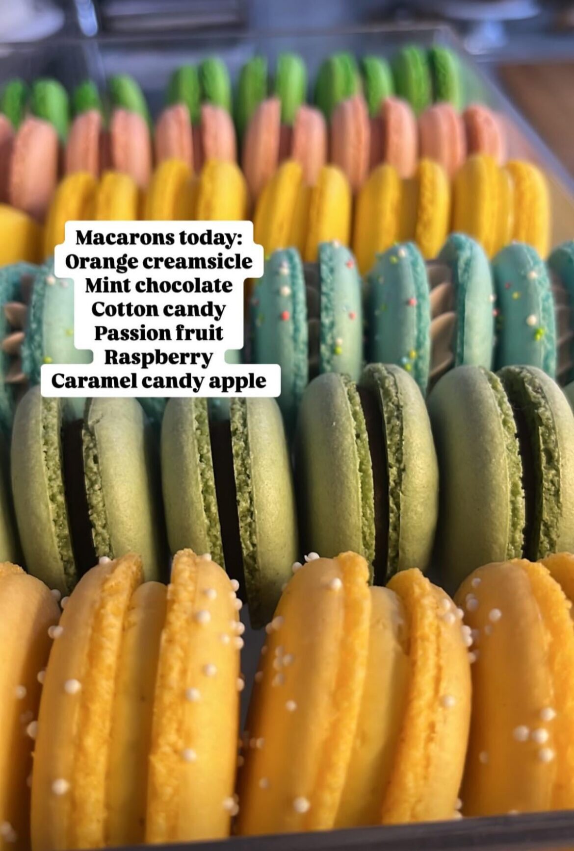 Macarons in my little bakery.