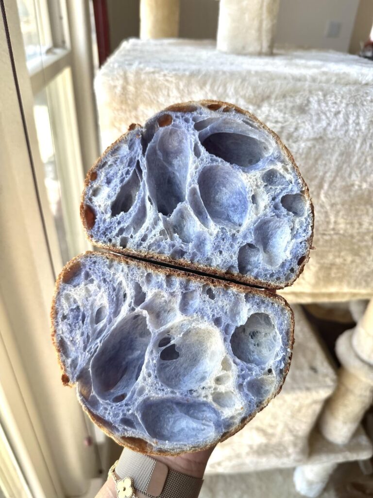 Butterfly pea sourdough