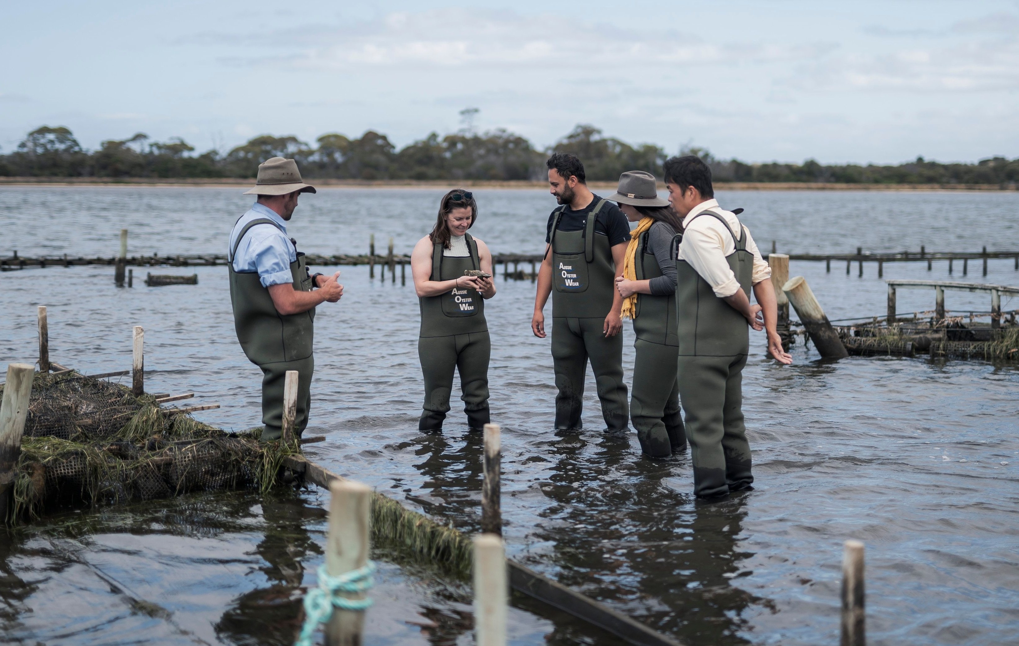 Oyster farm tour in Tasmania.