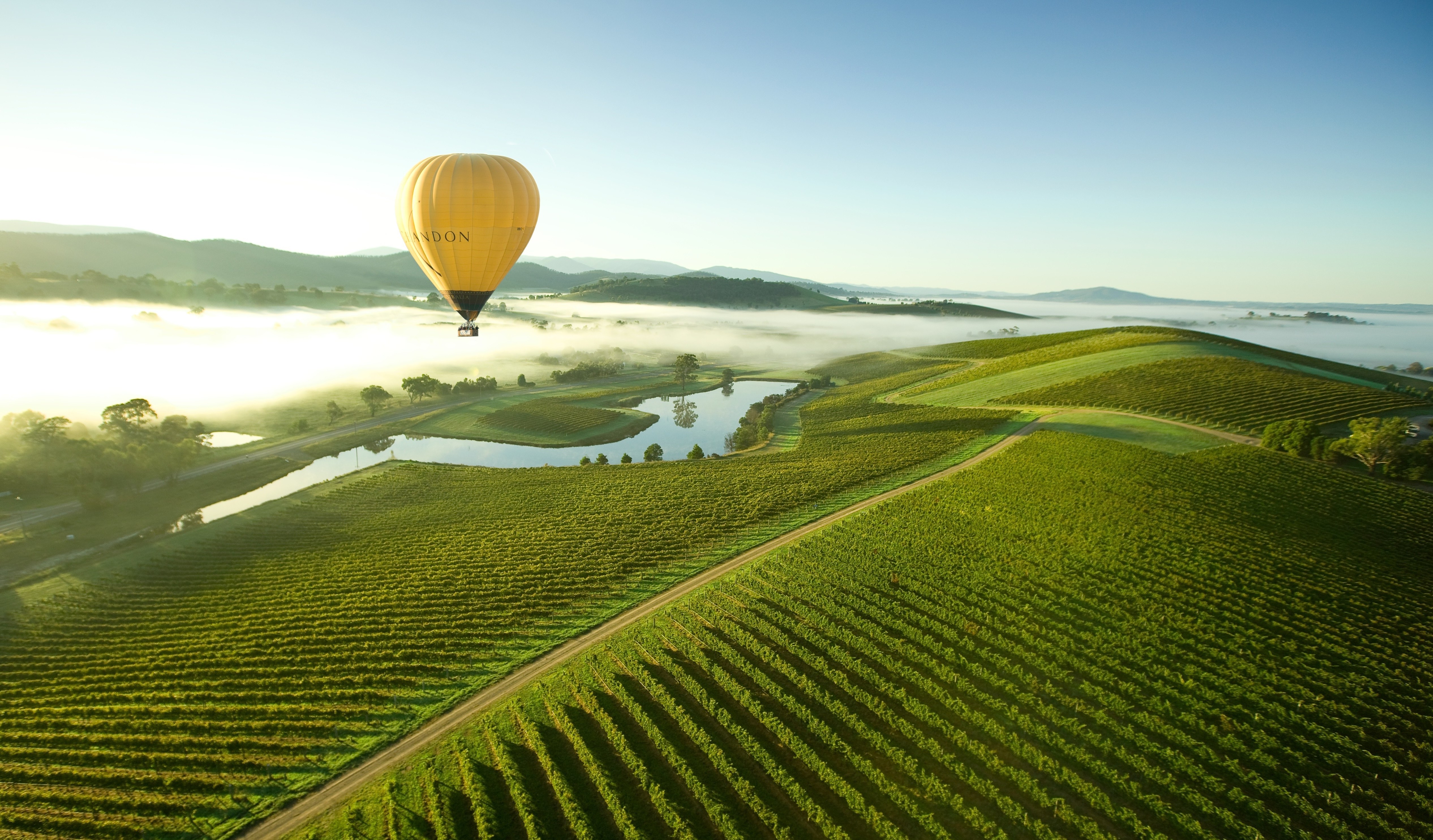 Hot air balloon over Yarra Valley vineyards.