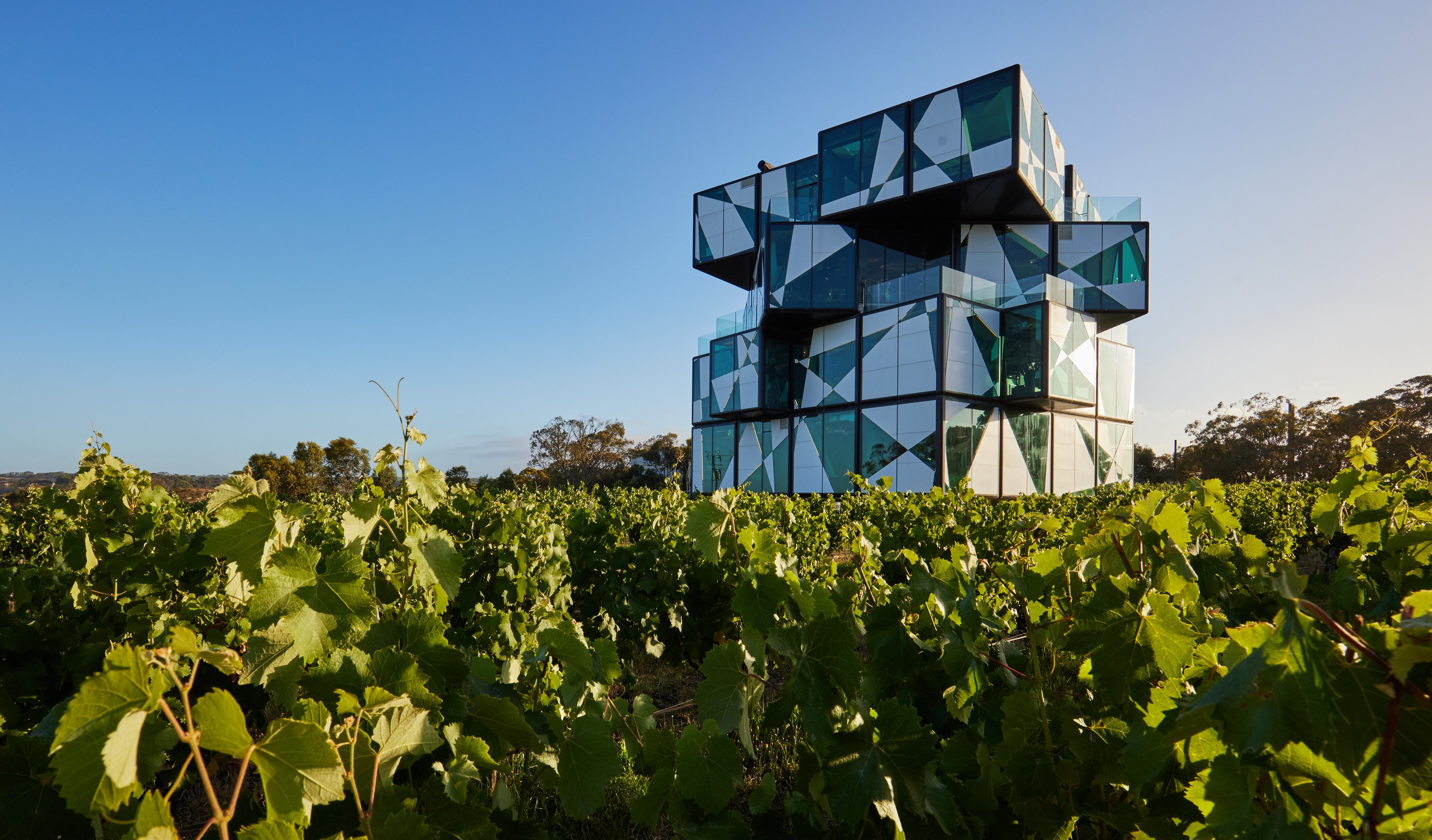 Modern winery building in a vineyard.