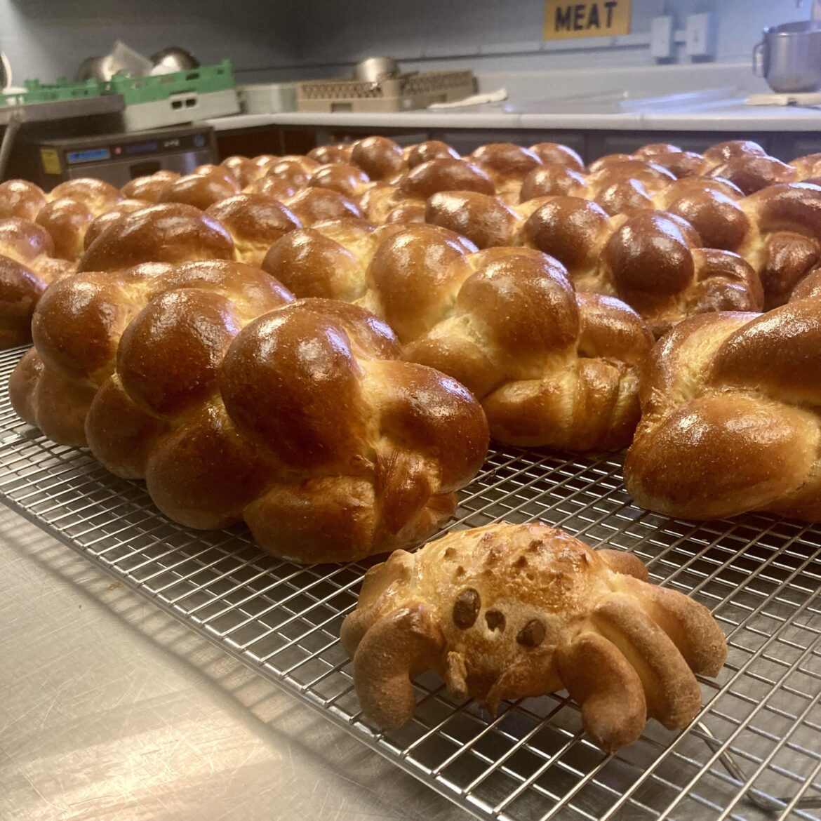 I think Torah-antula is the best pun I can come up with 🍞🕷️