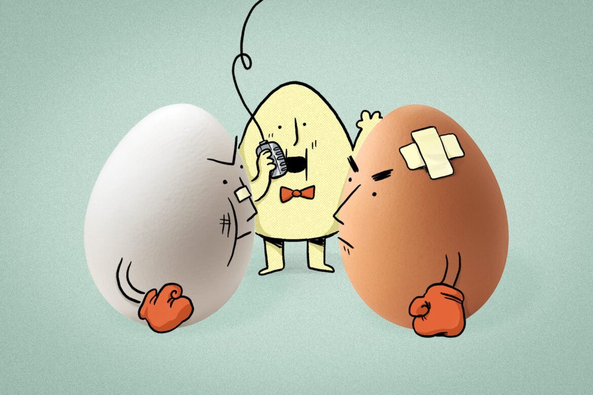 Does it matter whether eggs are brown or white?