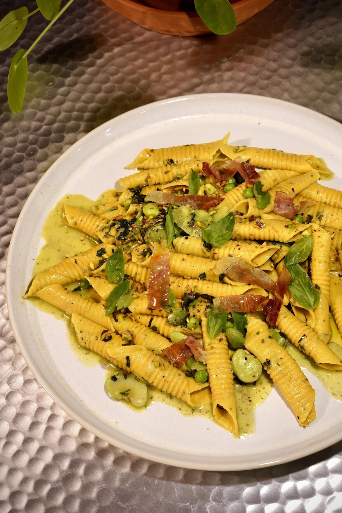Garganelli with Peas, Pecorino, and Wild Garlic.