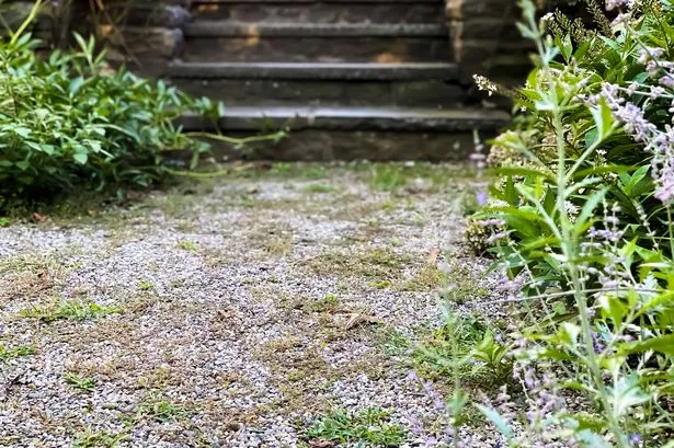 a staircase in an english inspired garden
