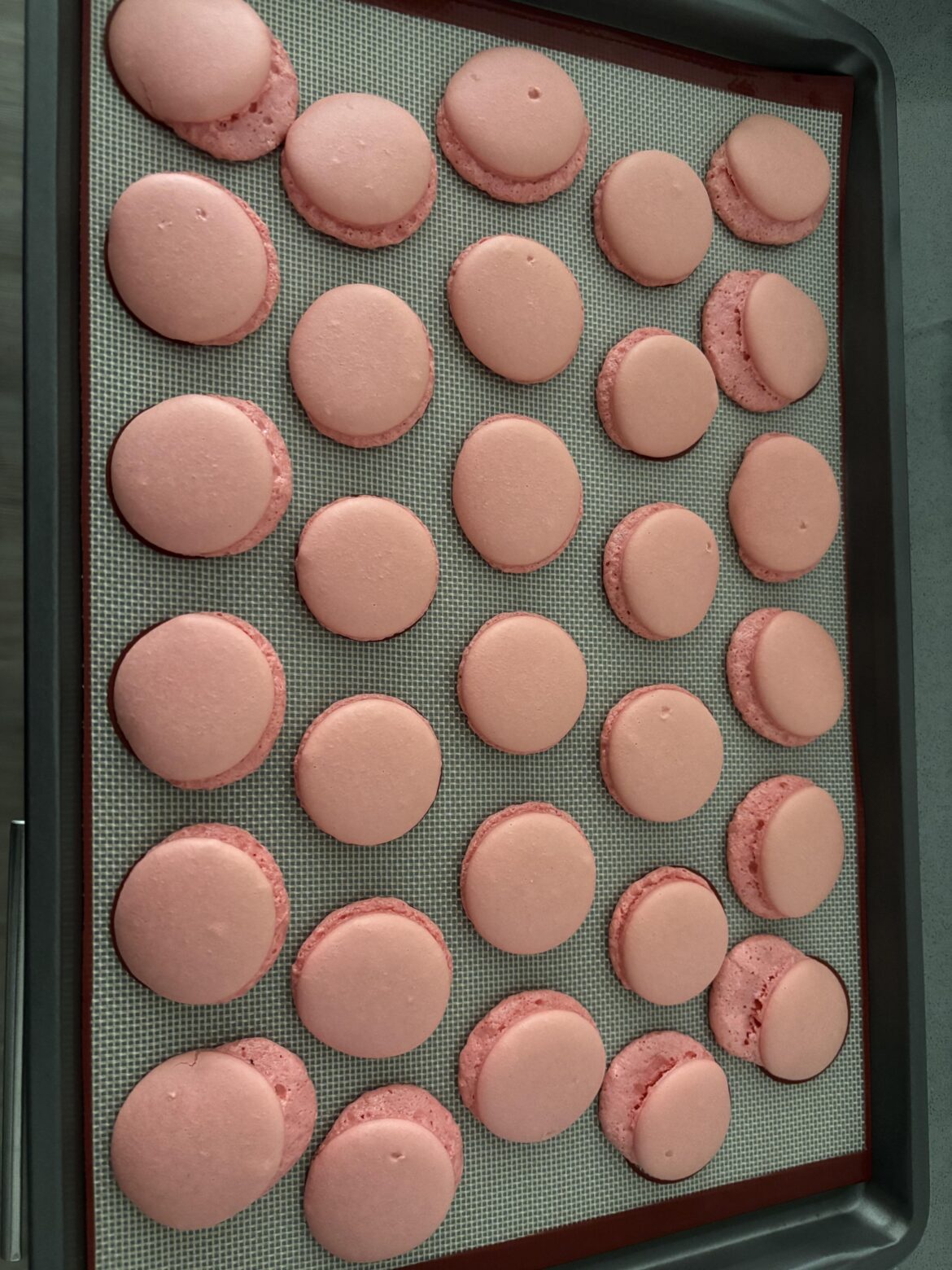 Macaron support