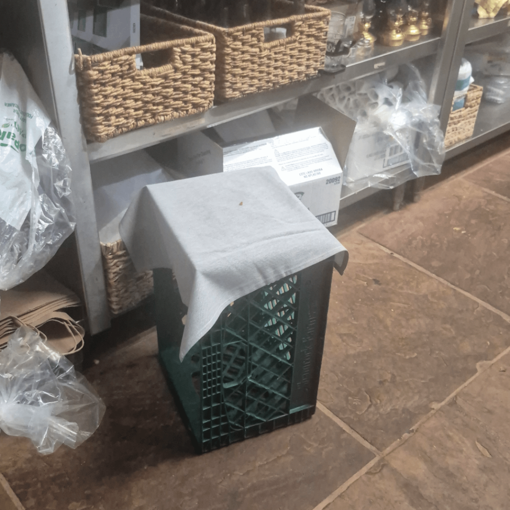 We're a classy joint, only the best chairs for our staff