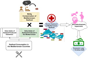 Methylmercury contamination in Mediterranean seafood: Exposure assessment and cost of illness implications Elsevier logo